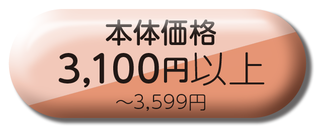 3100円以上