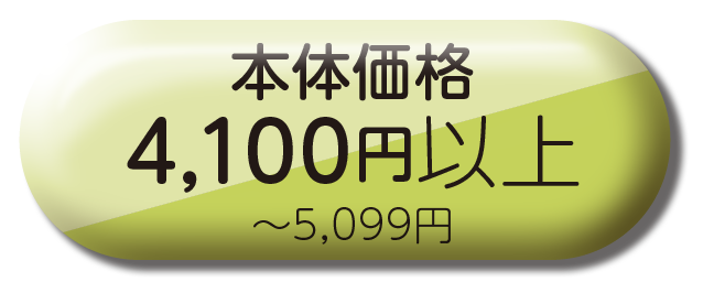 4100円以上
