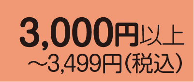 3000円以上