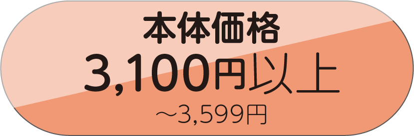 3100円以上